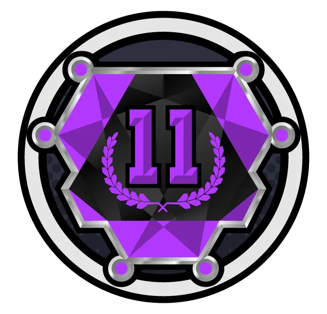 Expert Rank Achiever